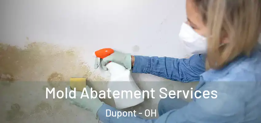  Mold Abatement Services Dupont - OH
