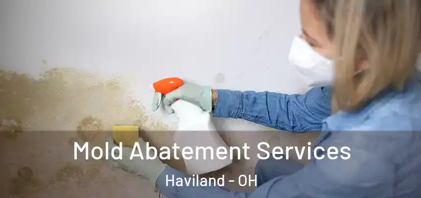 Mold Abatement Services Haviland - OH