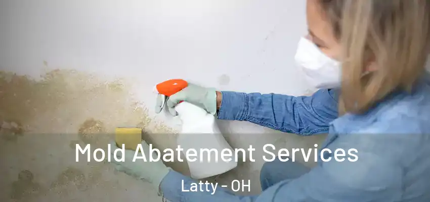  Mold Abatement Services Latty - OH