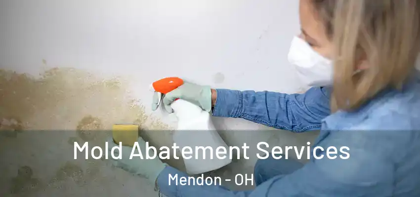  Mold Abatement Services Mendon - OH