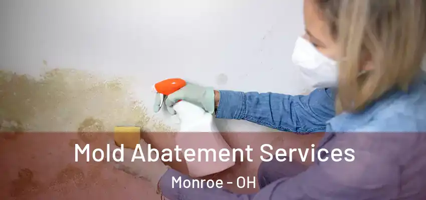  Mold Abatement Services Monroe - OH