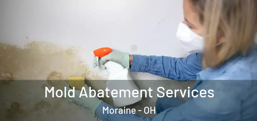  Mold Abatement Services Moraine - OH