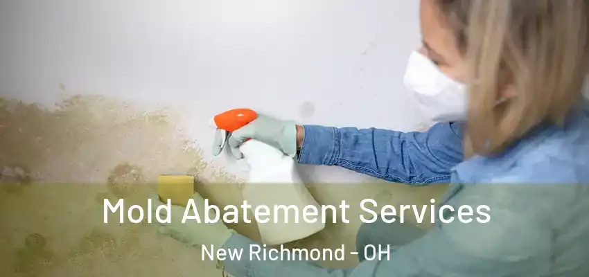  Mold Abatement Services New Richmond - OH