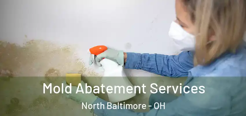  Mold Abatement Services North Baltimore - OH