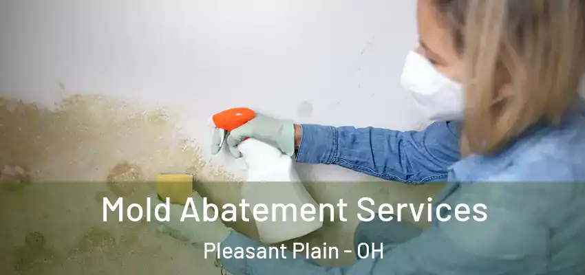 Mold Abatement Services Pleasant Plain - OH