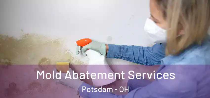  Mold Abatement Services Potsdam - OH