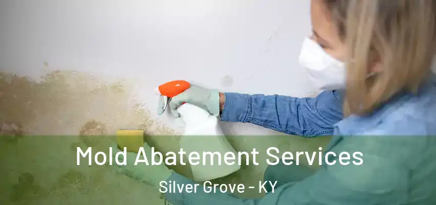  Mold Abatement Services Silver Grove - KY