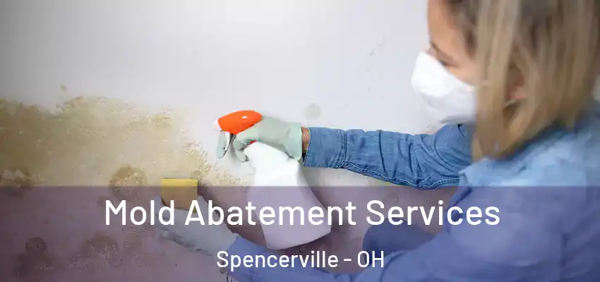  Mold Abatement Services Spencerville - OH