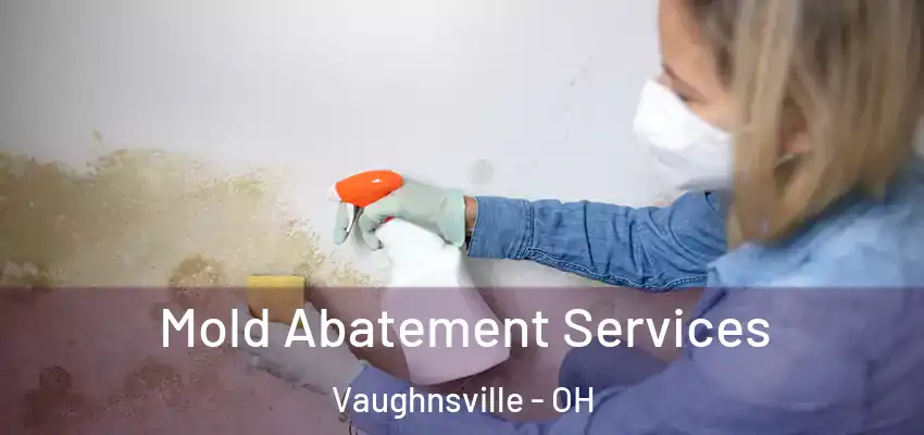  Mold Abatement Services Vaughnsville - OH