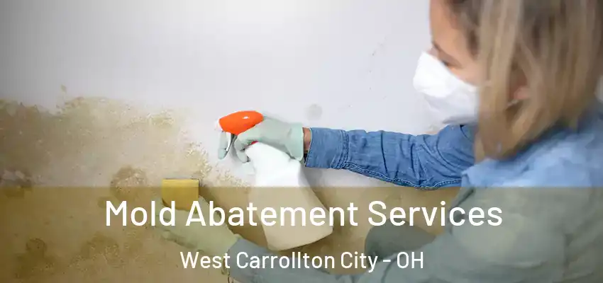  Mold Abatement Services West Carrollton City - OH