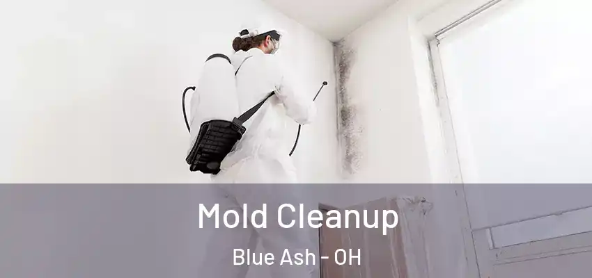  Mold Cleanup Blue Ash - OH