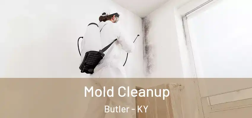  Mold Cleanup Butler - KY