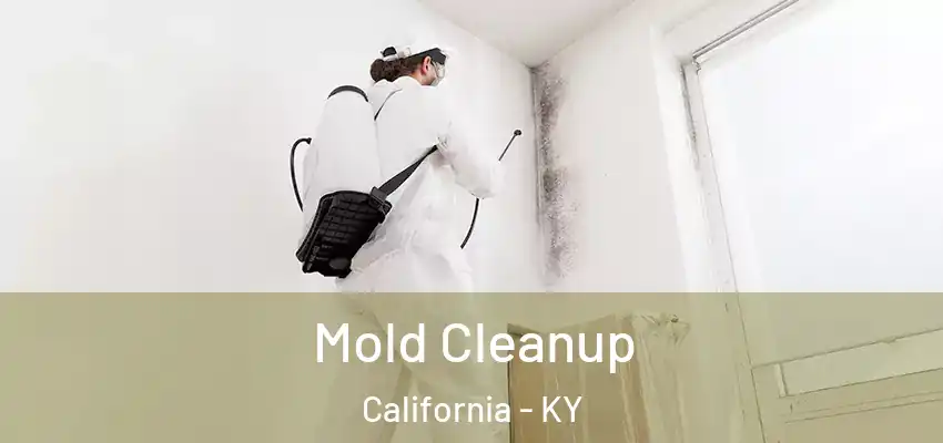  Mold Cleanup California - KY