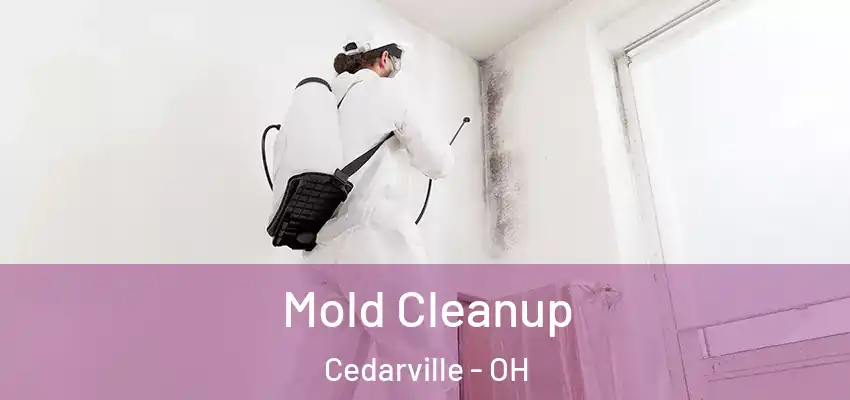  Mold Cleanup Cedarville - OH