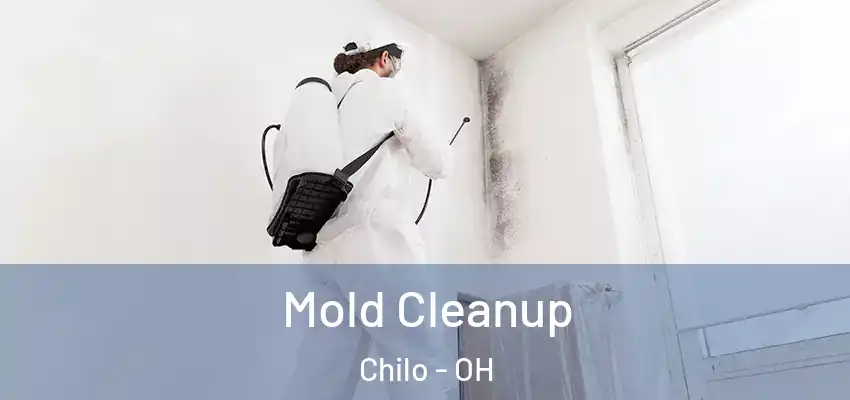  Mold Cleanup Chilo - OH