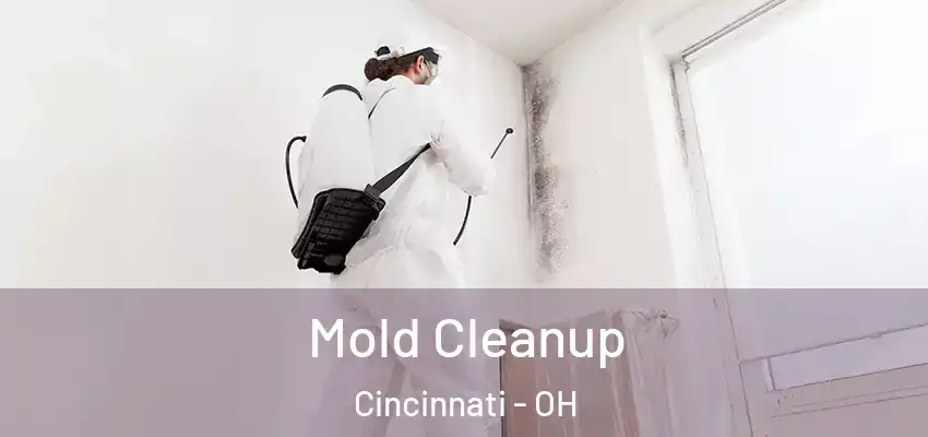  Mold Cleanup Cincinnati - OH