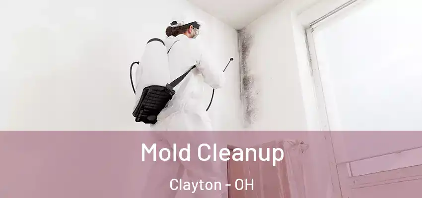  Mold Cleanup Clayton - OH