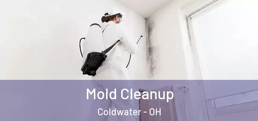  Mold Cleanup Coldwater - OH