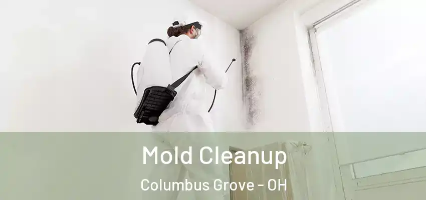  Mold Cleanup Columbus Grove - OH
