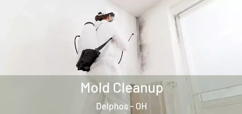 Mold Cleanup Delphos - OH