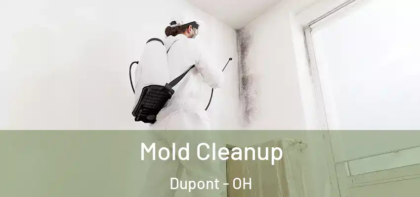  Mold Cleanup Dupont - OH