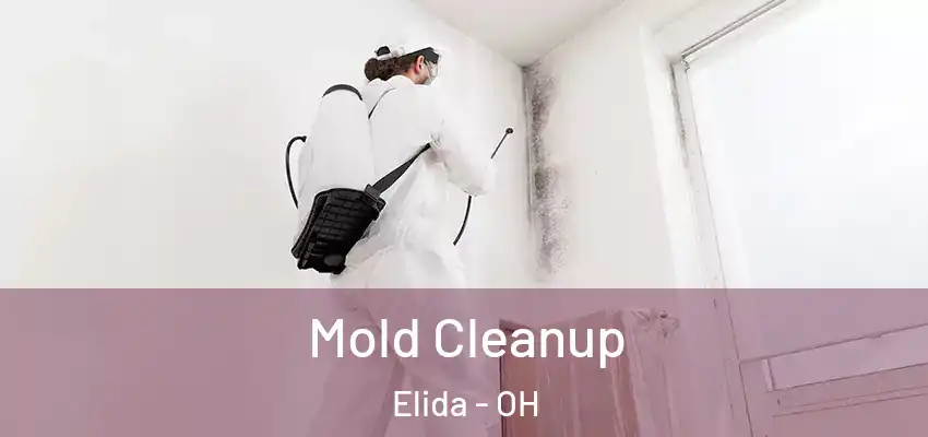 Mold Cleanup Elida - OH