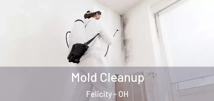  Mold Cleanup Felicity - OH