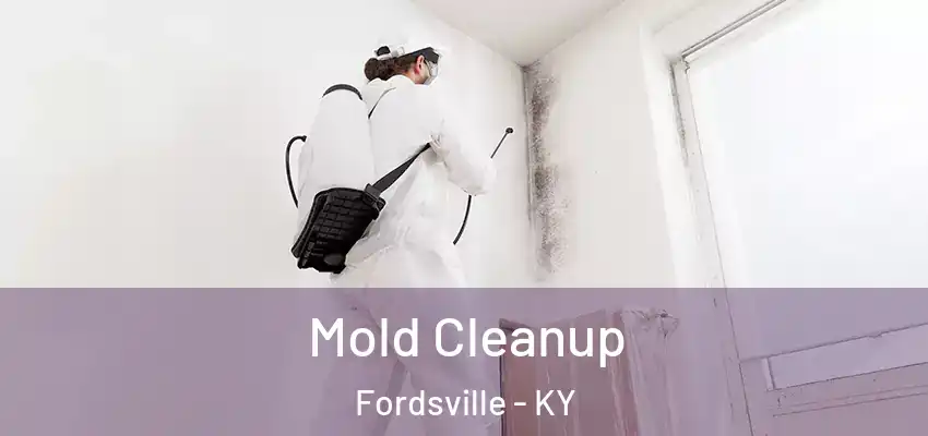  Mold Cleanup Fordsville - KY