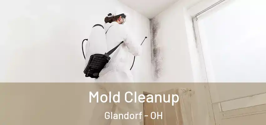  Mold Cleanup Glandorf - OH