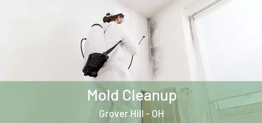  Mold Cleanup Grover Hill - OH