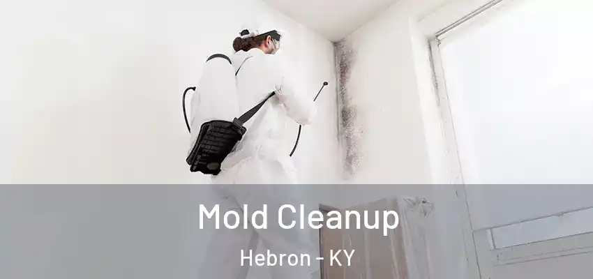 Mold Cleanup Hebron - KY