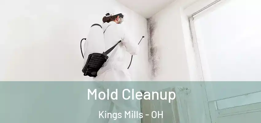  Mold Cleanup Kings Mills - OH