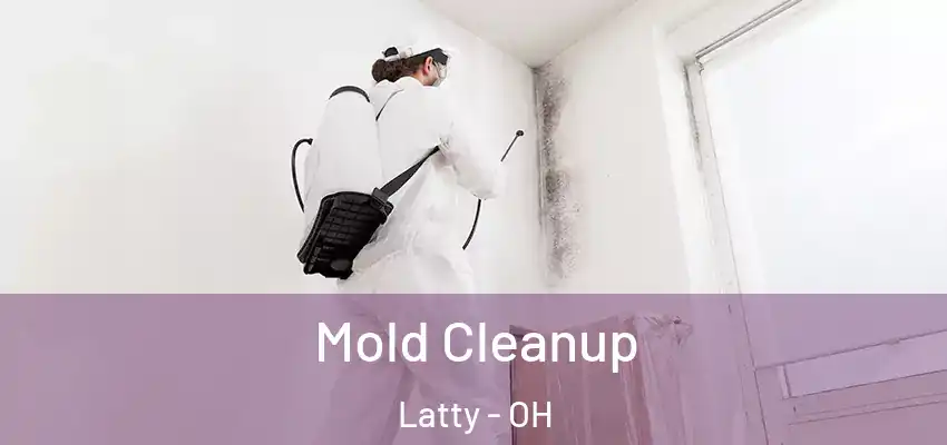  Mold Cleanup Latty - OH