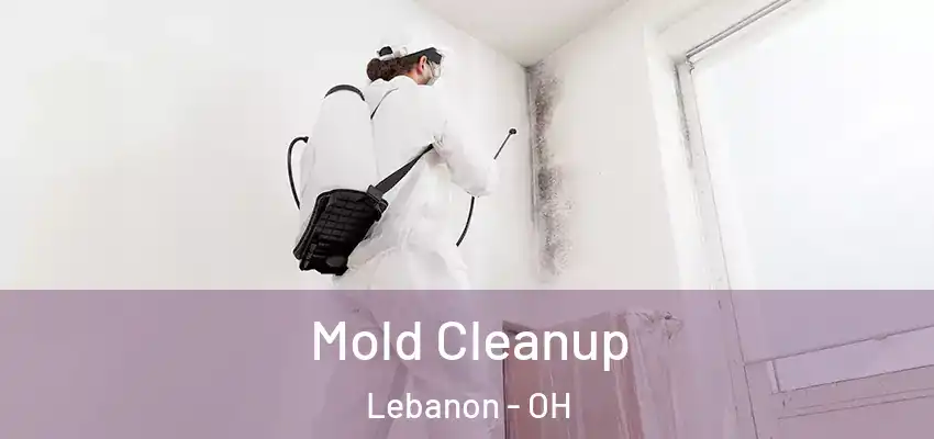 Mold Cleanup Lebanon - OH