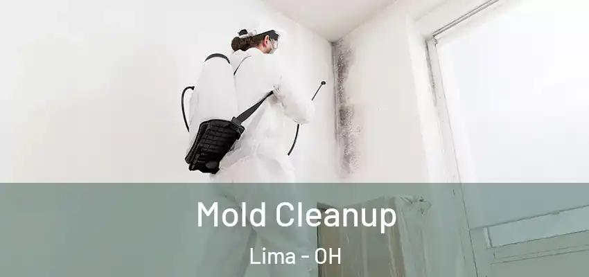  Mold Cleanup Lima - OH