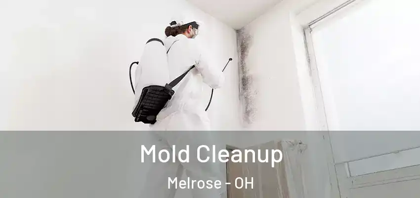  Mold Cleanup Melrose - OH