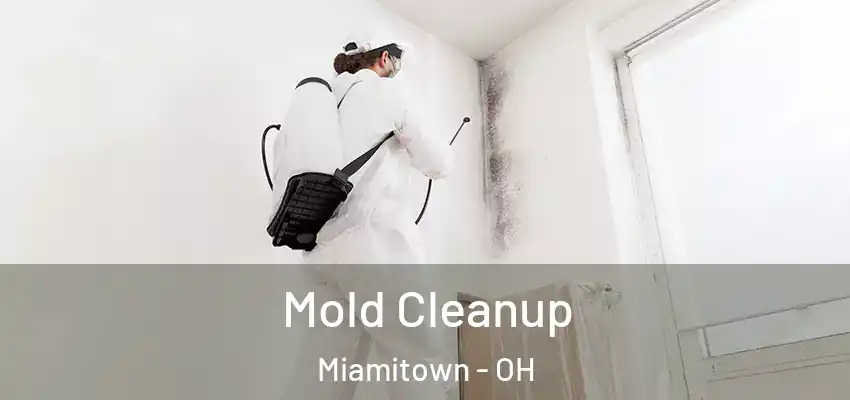  Mold Cleanup Miamitown - OH