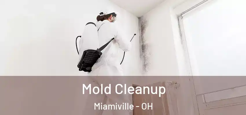  Mold Cleanup Miamiville - OH