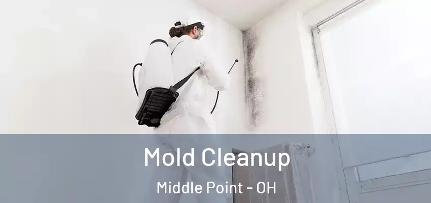 Mold Cleanup Middle Point - OH