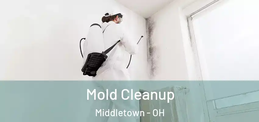  Mold Cleanup Middletown - OH