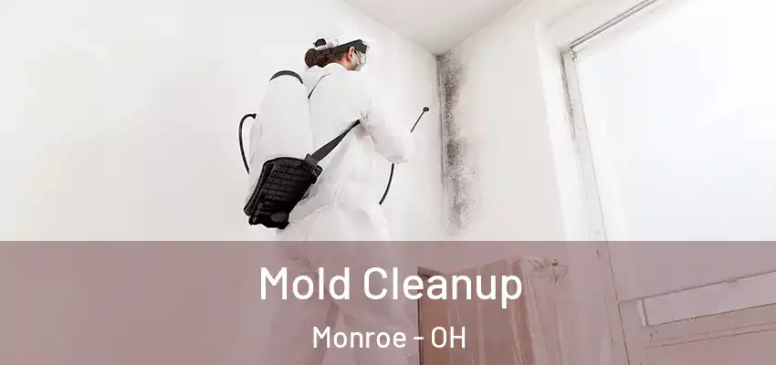  Mold Cleanup Monroe - OH