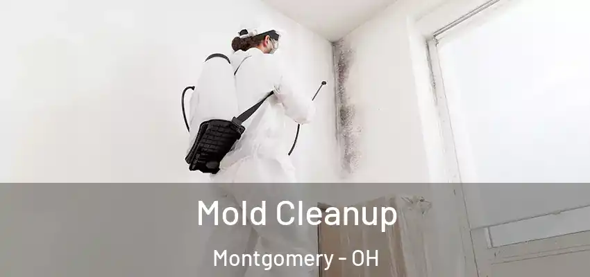  Mold Cleanup Montgomery - OH