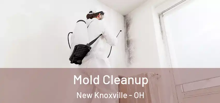  Mold Cleanup New Knoxville - OH