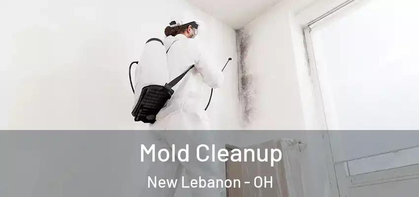 Mold Cleanup New Lebanon - OH