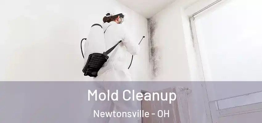  Mold Cleanup Newtonsville - OH