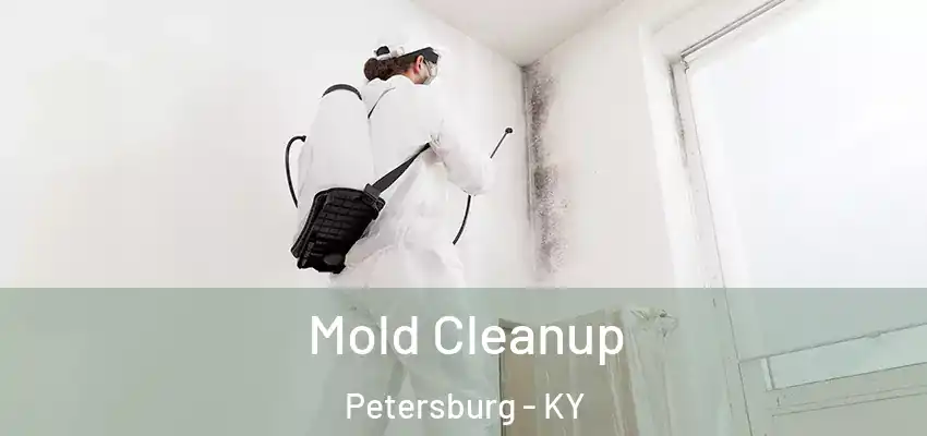  Mold Cleanup Petersburg - KY