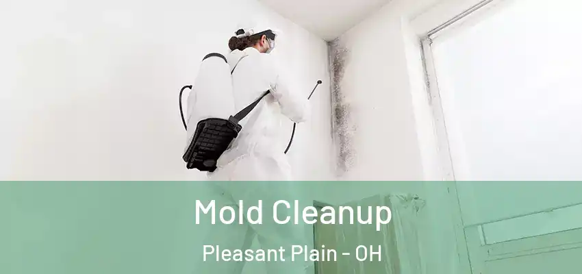 Mold Cleanup Pleasant Plain - OH