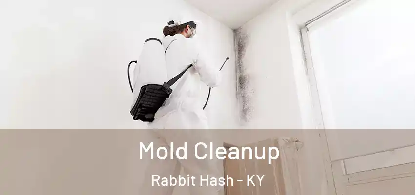  Mold Cleanup Rabbit Hash - KY