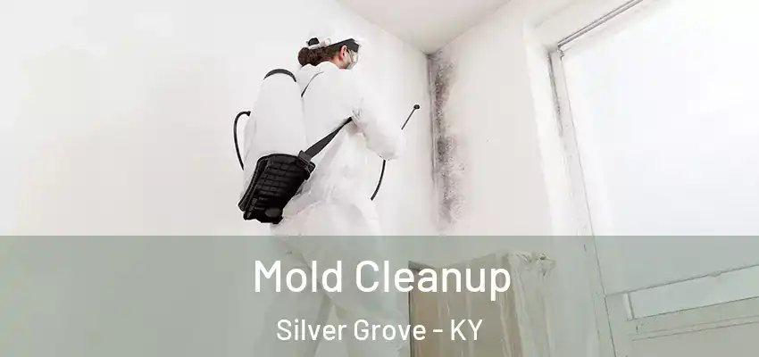  Mold Cleanup Silver Grove - KY