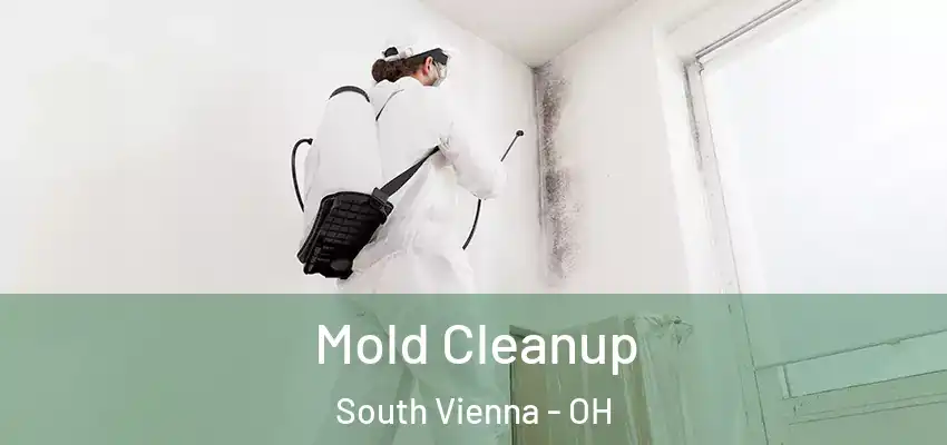  Mold Cleanup South Vienna - OH